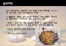 스페인 음식 13페이지