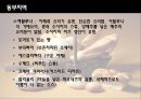 스페인 음식 14페이지