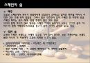스페인 음식 32페이지
