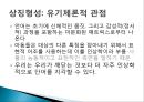 Werner의 유기체 비교이론 11페이지