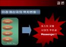 메신저 마케팅 (Messenger Marketing) 18페이지