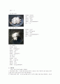 음이온의 확인-점적 분석 5페이지