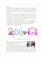 슈테판 볼프만(Stefan-Boltzmann) 결과re 20페이지