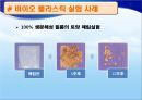 [★★녹색성장 중점기술★★] 바이오플라스틱의 주요기술, 원리, 국내외 현황, 사례분석 및 향후 전망 17페이지