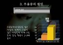 우울증과 약물치료.ppt 8페이지