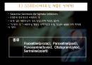 우울증과 약물치료.ppt 33페이지