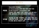 우울증과 약물치료.ppt 40페이지
