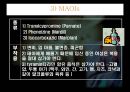 우울증과 약물치료.ppt 43페이지