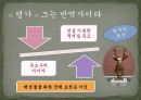 황사영, 반역자인가 선각자인가 19페이지