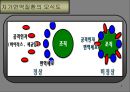 관절염 4페이지