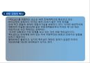 맥도날드 경영 전략  20페이지