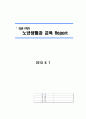 노년 레포트 1페이지