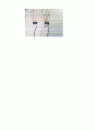 d_래치_및_d_플립-플롭-예비,결과보고서,래치로 SPDT 스위치의 되튐에 의한 영향을 제거하는 방법에 대한 입증,NA,D 플립-플롭의 테스트 및 래치와 플립-플롭의 몇 가지 응용회로 조사ND 게이트와 인버터를 이용한 게이트를 D 래치 구성 및 시험 8페이지