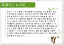 우리나라 웰빙의 실태 8페이지