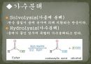 유기화학 에스터의 가수분해   hydrolysis of an ester,실험방법,실험 목적 5페이지