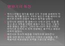 [★평가우수자료★, 구약의 12시대] 구약의 12시대에 대한 각 내용과 특징 및 역사적 40페이지