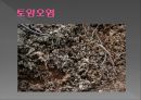 발전으로 인한 환경오염 ppt 13페이지