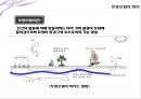 토양오염 - 모든 생명의 태초인 가이아가 병들어가고 있다.pptx 3페이지