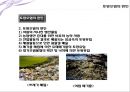 토양오염 - 모든 생명의 태초인 가이아가 병들어가고 있다.pptx 5페이지