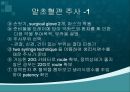 항암화학요법.ppt 11페이지