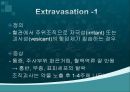 항암화학요법.ppt 27페이지