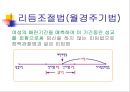 피임  21페이지