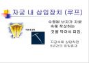 피임  25페이지