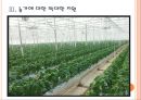 [농업문제] 세계 각국의 농업정책 문제점과 한국농업의 발전방향.PPT자료 9페이지