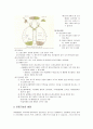[아동발달] 유아기 신체발달 - 신체적 성장, 뇌의 성장, 운동기능의 발달  4페이지