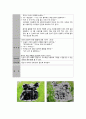 만5세)   판화 표현 지도법 -나만의 꼴라쥬 판화- 3페이지