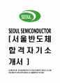 [서울반도체-최신공채합격자기소개서] 서울반도체자소서,서울반도체자기소개서,반도체자소서,서울합격자기소개서 1페이지