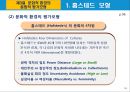 정치 및 문화적 환경.PPT자료 16페이지