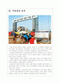 [베트남시장] 베트남시장에 대한 분석과 업체들의 진출전략 보고서 5페이지
