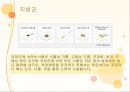 [최신간호경향] 당뇨병 환자관리.pptx 16페이지