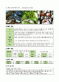 수목 도감 50개 3페이지