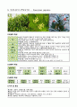 수목 도감 50개 8페이지