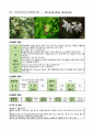 수목 도감 50개 30페이지