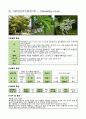 수목 도감 50개 32페이지