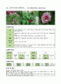수목 도감 50개 34페이지