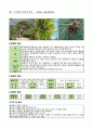 수목 도감 50개 46페이지