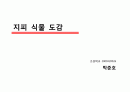 지피식물 도감 (30개) 32페이지