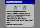 우리나라 다문화, 태국 이민자 현황 분석  15페이지