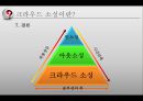  '대중의 창조적 에너지가 비즈니스의 미래를 바꾼다' 크라우드 소싱(Crowd Sourcing) 11페이지