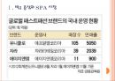 [SPA브랜드] 패스트패션브랜드의 특징과 성공요인분석 (유니클로(uniqlo),자라(ZARA),에이치앤엠(H&M)).PPT자료 3페이지