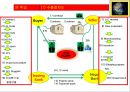 2. 수출기초 수출절차도 6페이지