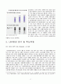 YG엔터테인먼트(YG Entertainment/양군기획) 경영전략분석및 YG 핵심역량, 성공요인분석과 마케팅분석 및 향후 경영전략 제안 17페이지