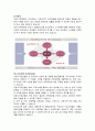 중소기업은행(IBK)의 인사제도, 채용정보, 복리후생, 연봉자료 정리 7페이지