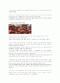 스페인 영어 소개 11페이지