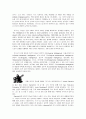 [영유아프로그램개발과평가] 다중지능 이론 프로그램 - 다중지능이론의 배경, 지능의 8가지 기준, 가드너가 제시한 8가지 지능, 다중지능이론과 학습양식  6페이지