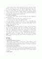제 1차 세계 대전사  30페이지